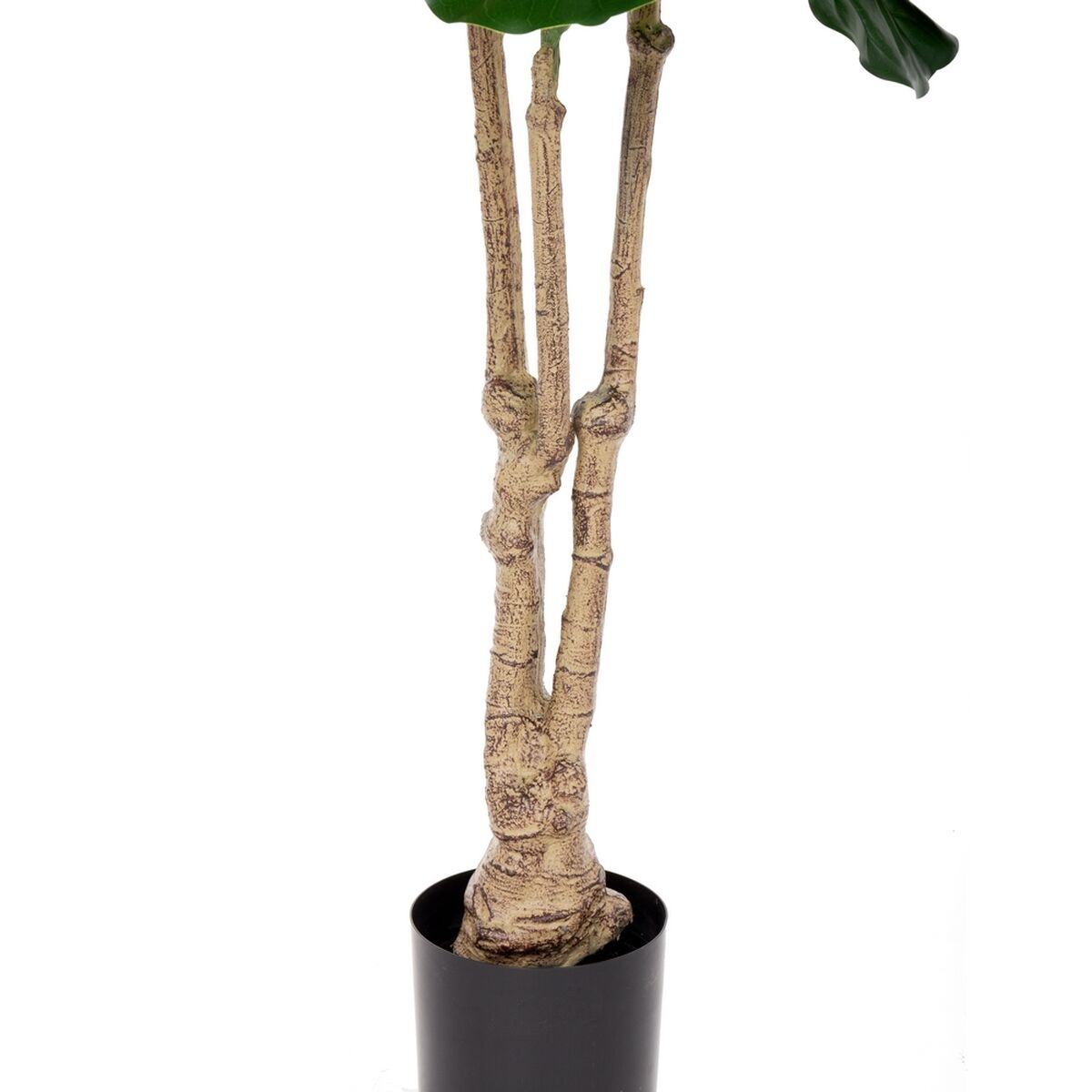 Decoratieve plant Polyurethaan Cement Vijgen 175 cm